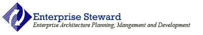 enterprise steward